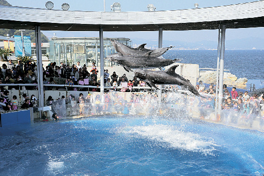 まずはここへ!大分マリーンパレス水族館「うみたまご」