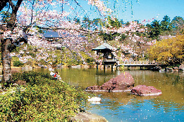 関東屈指の名刹「成田山新勝寺」はこんなところ