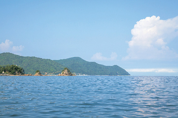 豊後水道を知ろう!