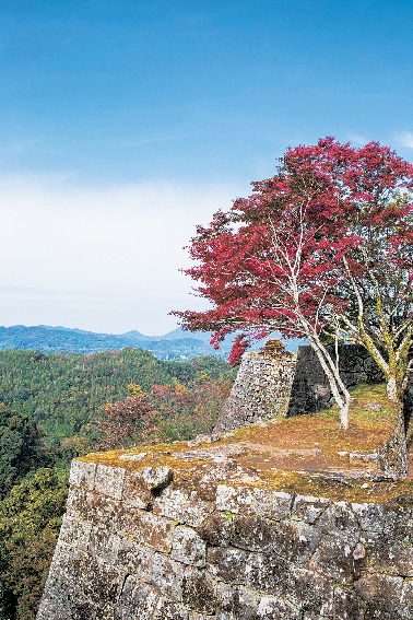 【大分観光のおすすめモデルコース】くじゅう・長湯・臼杵をドライブ!2日目