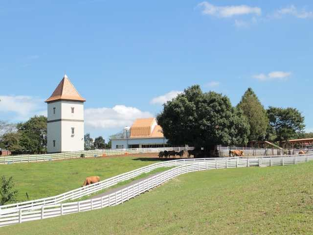 自然とともに楽しめる数々の体験「こもれび森のイバライド」