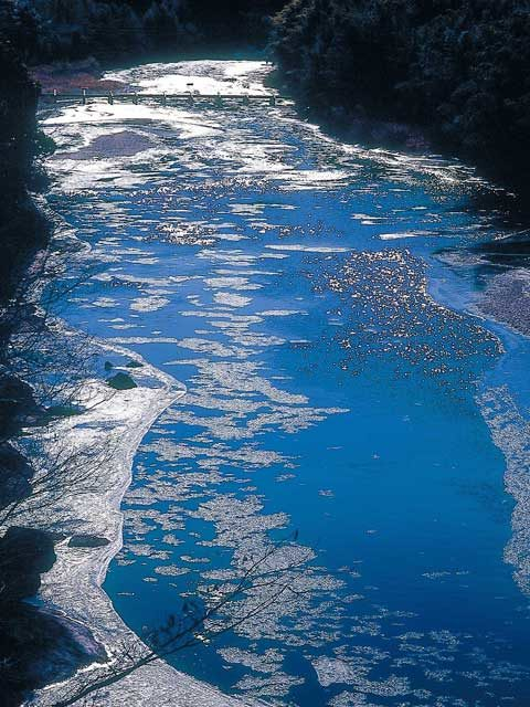 厳冬期に見られる幻想的な「シガ」