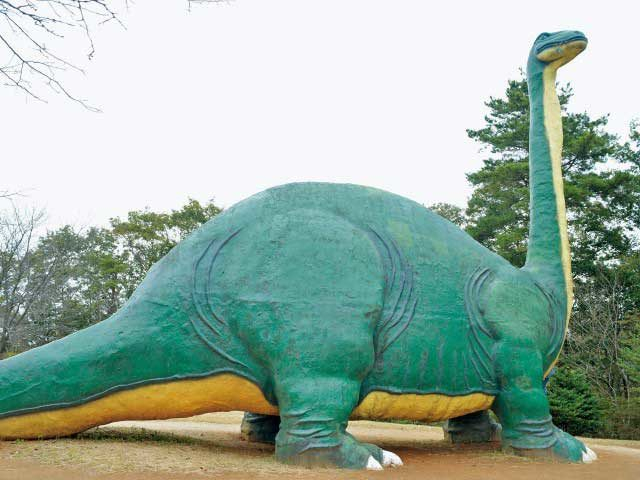 水戸市森林公園