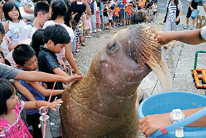 うみたまパフォーマンス