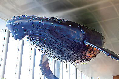大分マリーンパレス水族館「うみたまご」