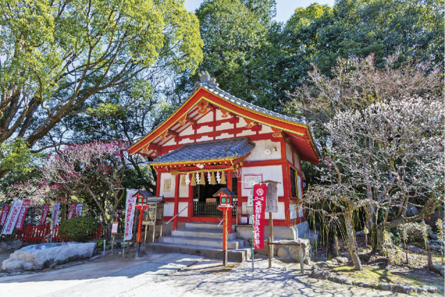 最強のパワースポット「天開稲荷社」にお詣り