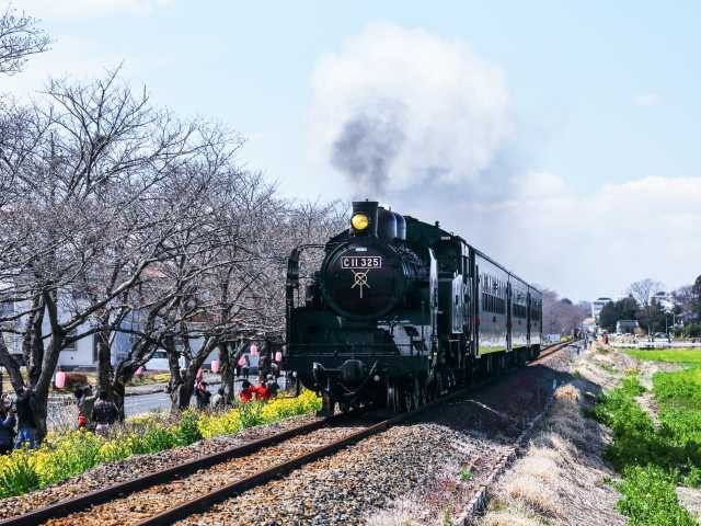 汽笛が響くレトロな汽車旅「真岡鐵道」