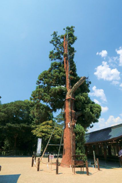 1.吉備津彦神社