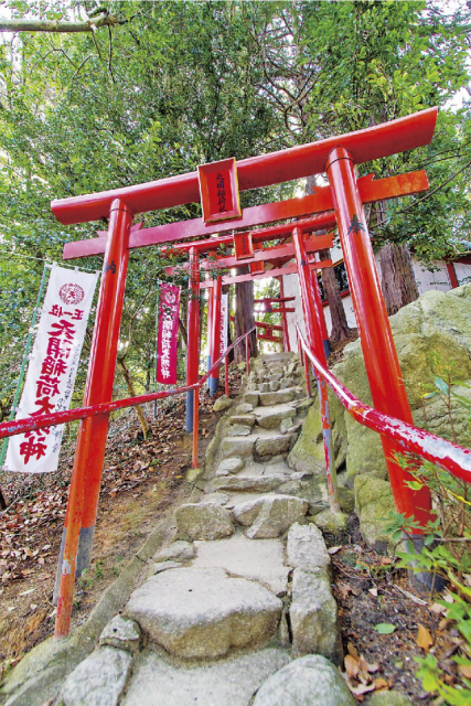 最強のパワースポット「天開稲荷社」にお詣り