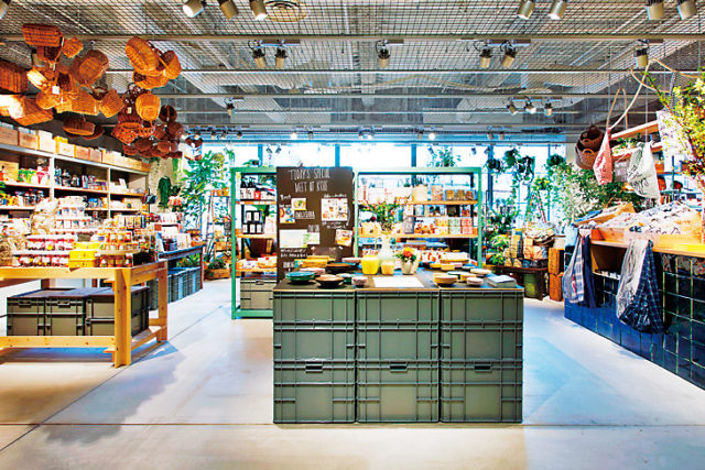 TODAY'S SPECIAL KOBE