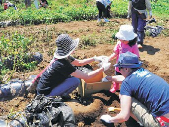 収穫体験が豊富!