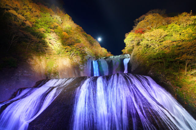 袋田の滝ライトアップ「大子来人〜ダイゴライト〜」
