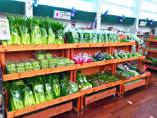 千葉の人気道の駅ランキング11位 道の駅 多古 あじさい館