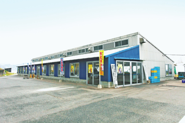 【糸島のランチスポット】栄養たっぷりのブランドカキを味わう「唐泊恵比須 かき小屋」