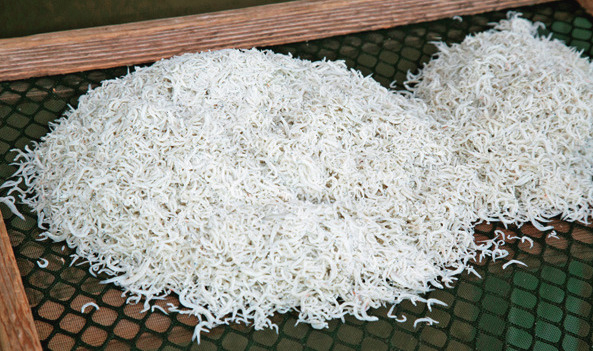 酒の肴はおまかせ「珍味処 磯蔵」