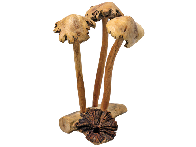 【栄町&海岸通×雑貨】AMPLOP