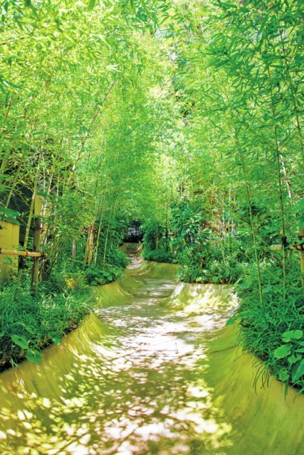 來宮神社の話題のスポットに注目!