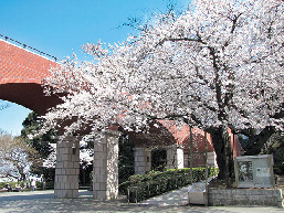 ベイブリッジが望める坂の上の展望名所「港の見える丘公園」