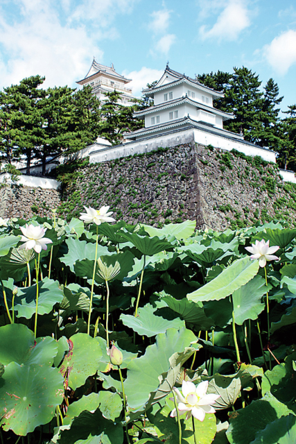 季節ごとの美景