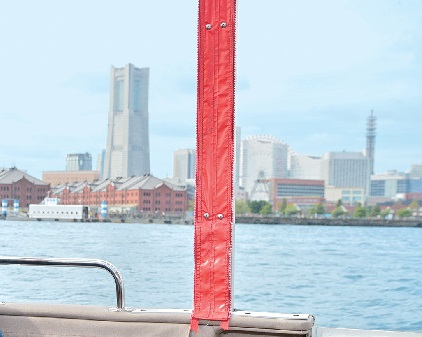 海上からの景色を楽しむ