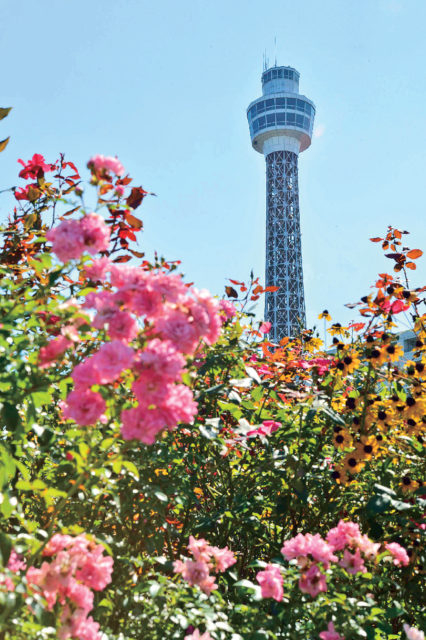 山下公園周辺のフォトジェニックスポット