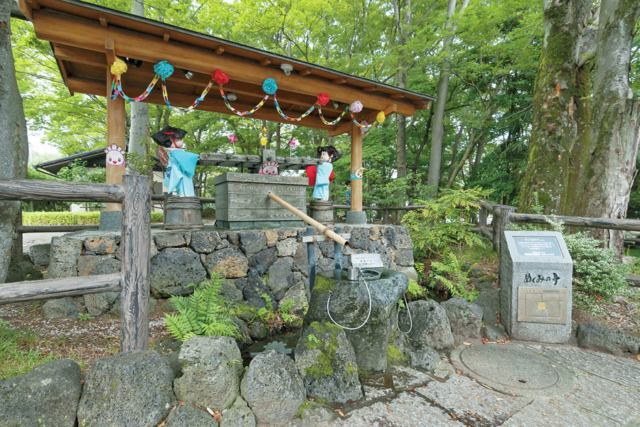 【三島駅周辺×観光モデルコース】⑤豊かな自然が美しい風景を織り成す「白滝公園」