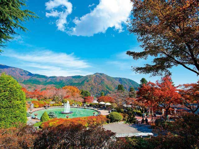 【1泊2日の箱根観光モデルコース】箱根強羅公園
