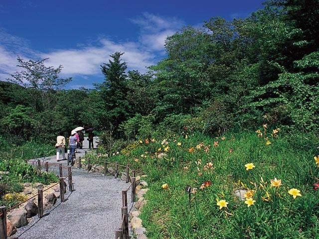 【仙石原×観光】箱根湿生花園