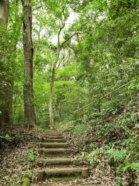 箱根湯本の半日観光【1】早雲公園