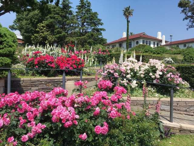 【横浜×観光】眺望・洋館・バラ園見どころ満載の公園「港の見える丘公園」