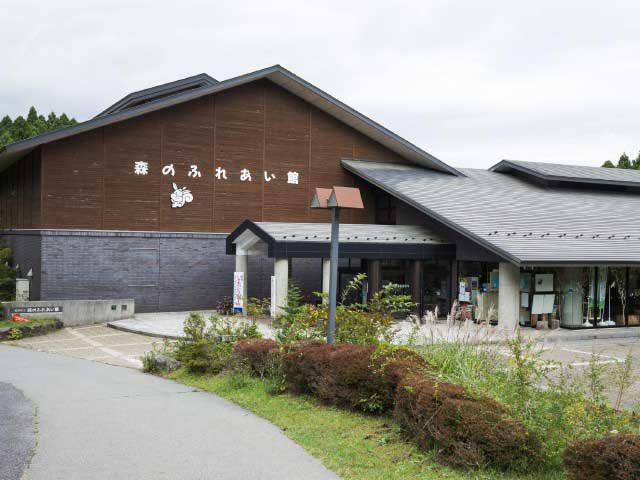 箱根やすらぎの森