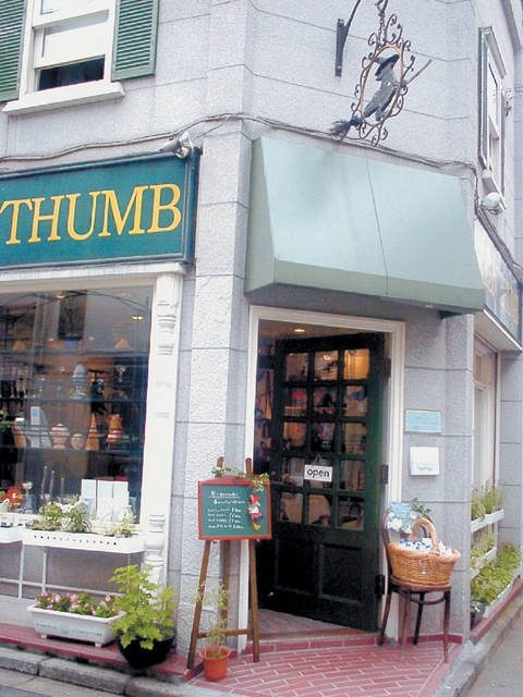 幸福を呼ぶ魔女人形がずらり「グリーンサム」