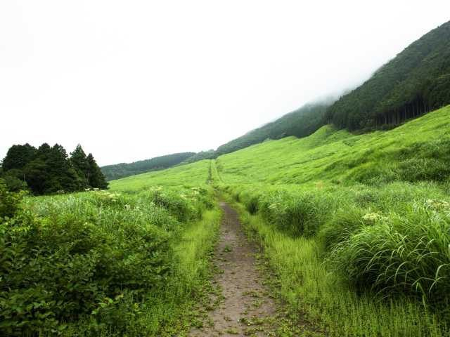 秋以外の行きどき情報