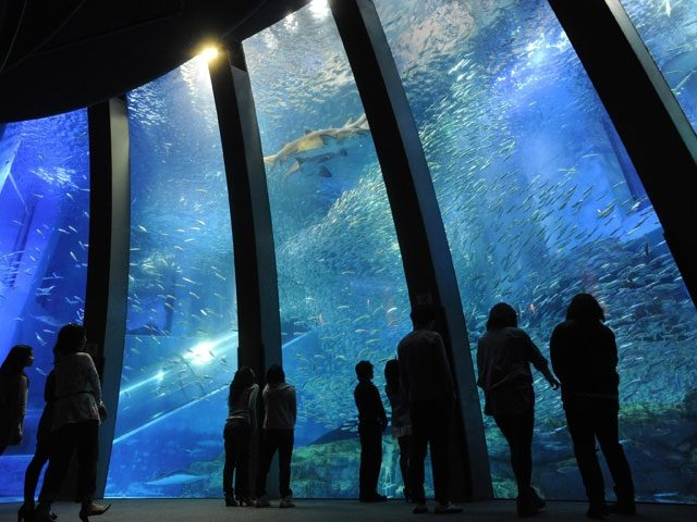 横浜郊外おでかけスポット