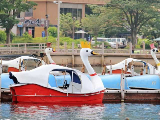 【芦ノ湖×観光】手こぎボート&スワンボート