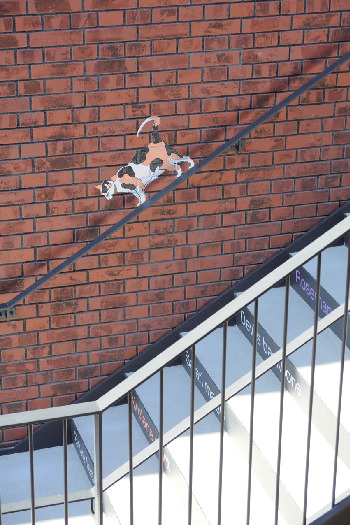 SNS映えするスポットがいっぱい!