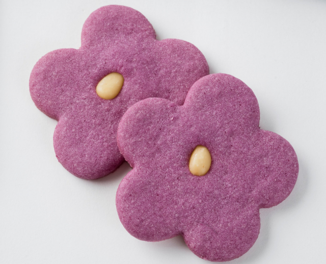 【1F】熱海コレクションA-PLUS