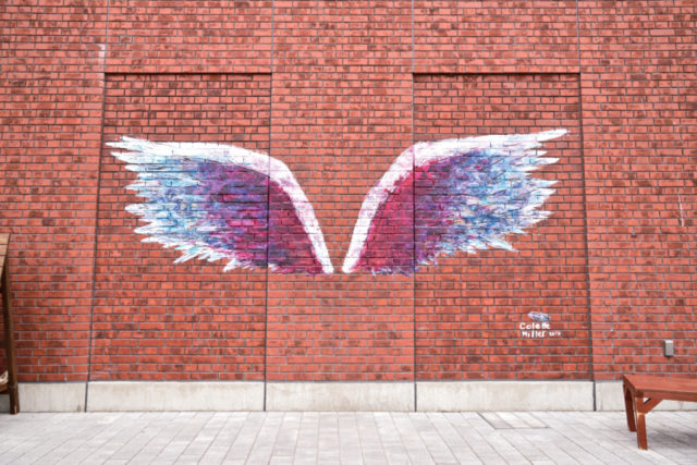 SNS映えするスポットがいっぱい!