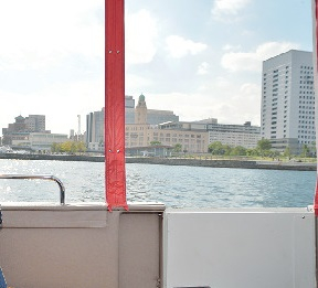 海上からの景色を楽しむ