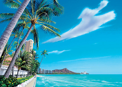 【1F】アロハストリート