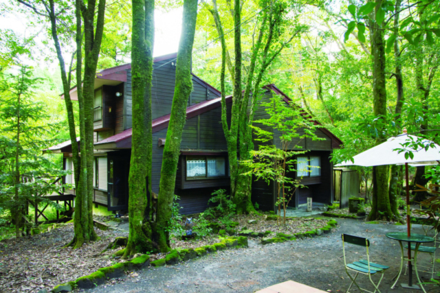 【霧島×グルメ&カフェ】地鶏炭火焼 古里庵 霧島店