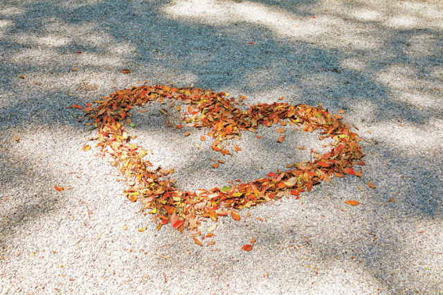 來宮神社について知ろう