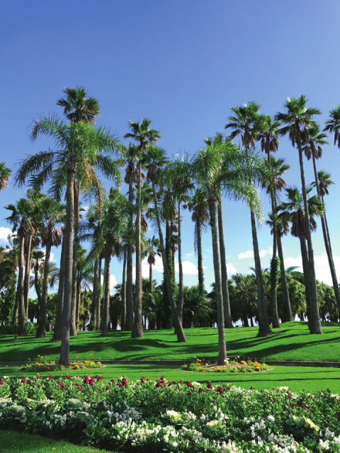 【青島周辺×観光】宮交ボタニックガーデン青島