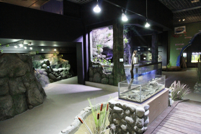 川の遊び場「イズリバ」