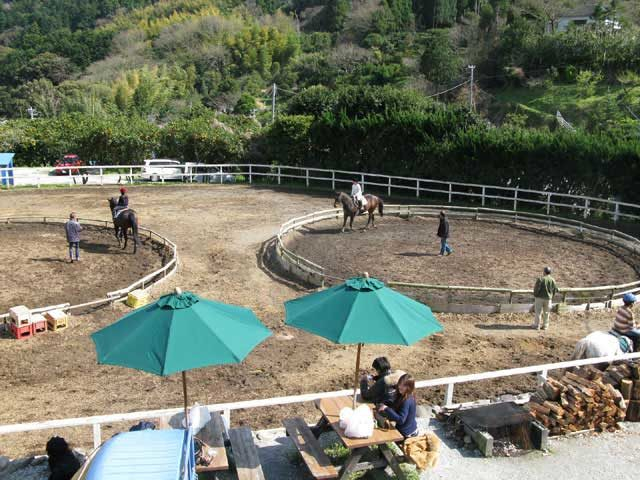 天城ホースビレッジ