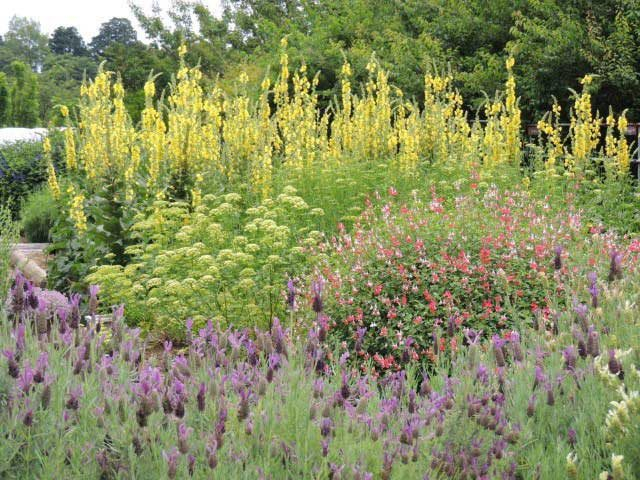 【東伊豆×観光】熱川ハーブテラス