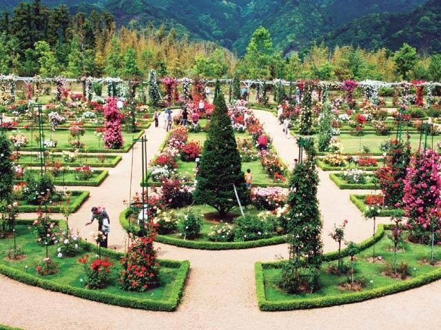 河津バガテル公園