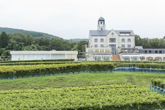 中伊豆ワイナリーシャトーT.S