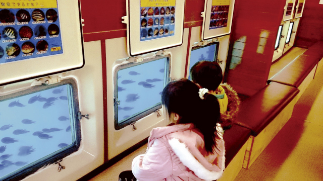 海中展望船ベイクルーズいとう「ゆーみんフック」