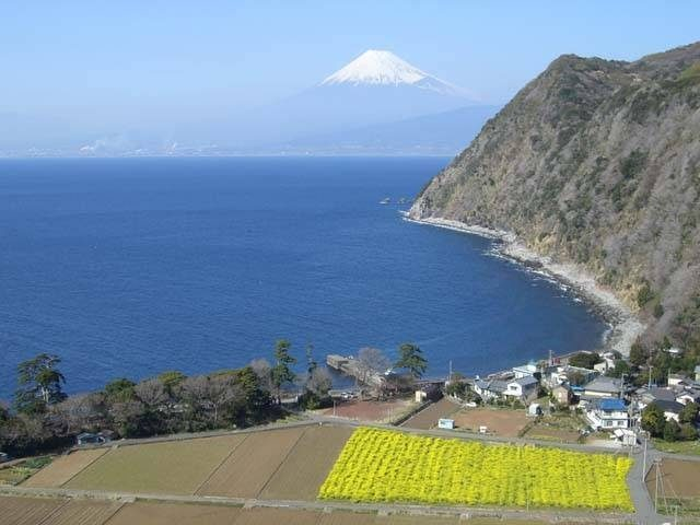 【西伊豆×ドライブ】煌めきの丘<ここにも富士山ビュー>